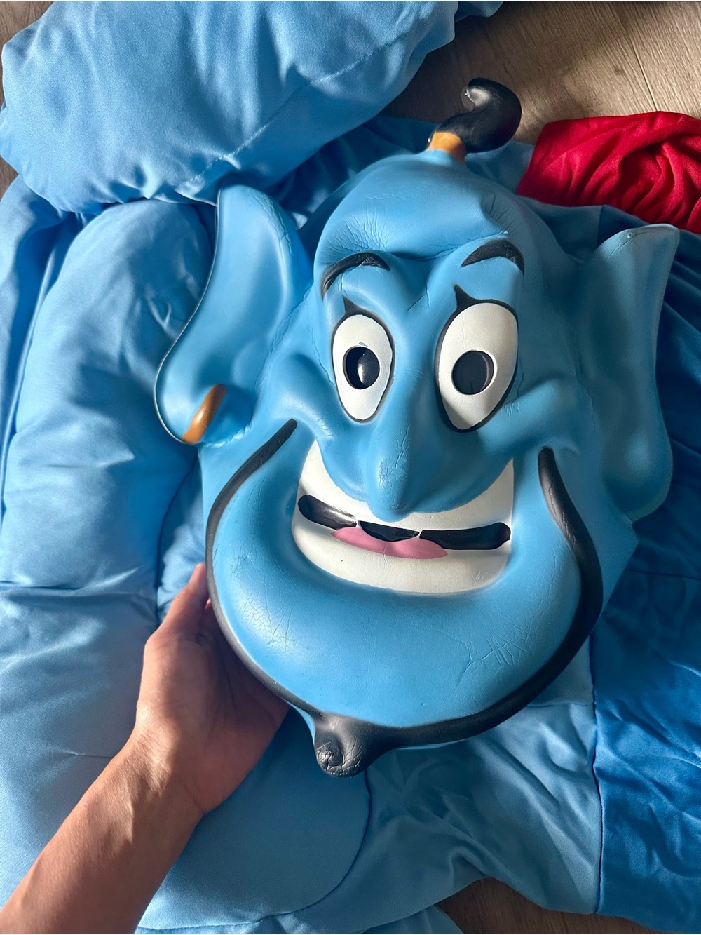 Aladdin Costume